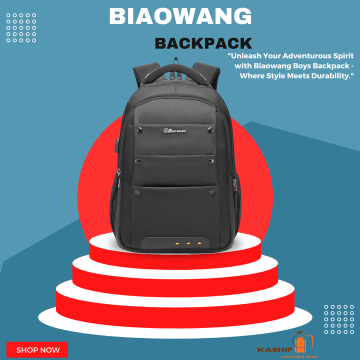 Biaowang Well-Partitioned Laptop Travel/Work/ Backpack – ZBP1055