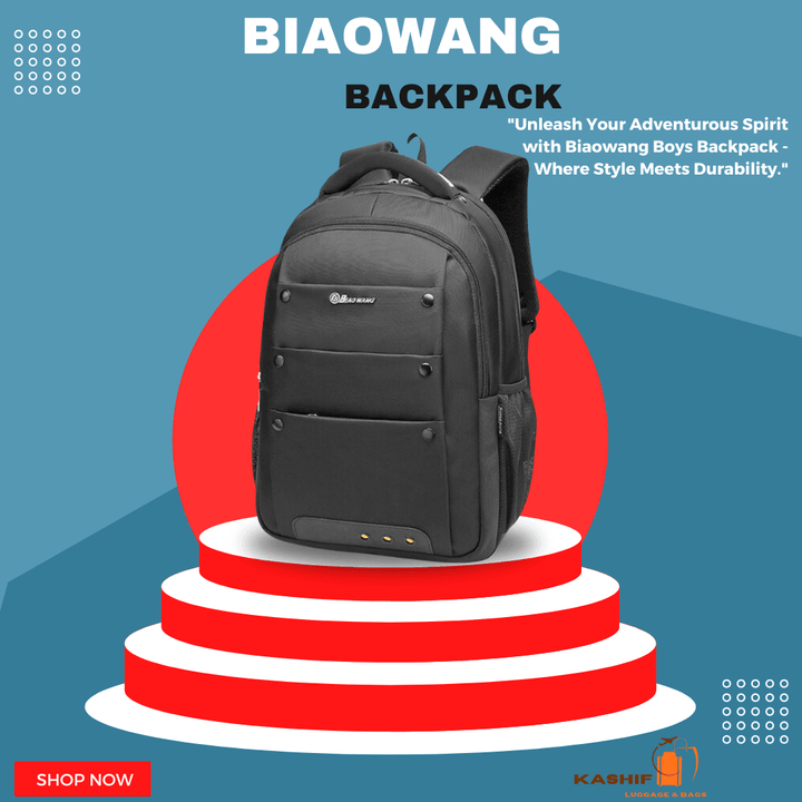 Biaowang Well-Partitioned Laptop Travel/Work/ Backpack – ZBP1055