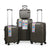 Luxury Style 4-Piece Hard Shell Luggage Family Set