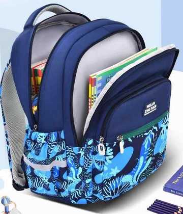 School Backpack For 1-5 Grade Girls - Kashif Luggage & Bags